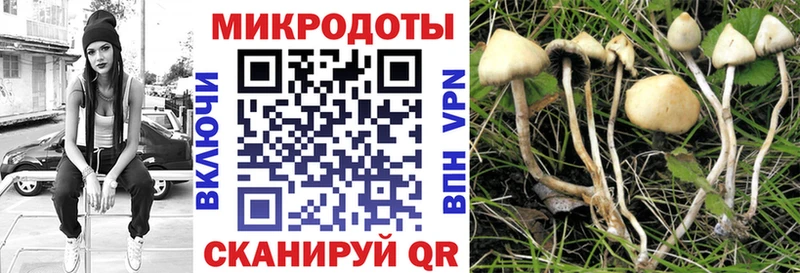 Галлюциногенные грибы мицелий  наркошоп  Ковдор 