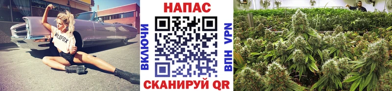 Конопля Ganja Ковдор